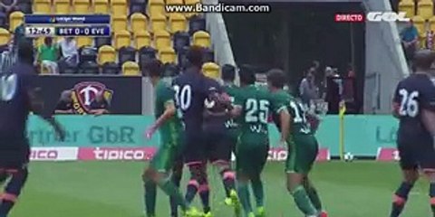 All Goals & Highlights HD - Everton 1-1 Real Betis - 30.07.2016