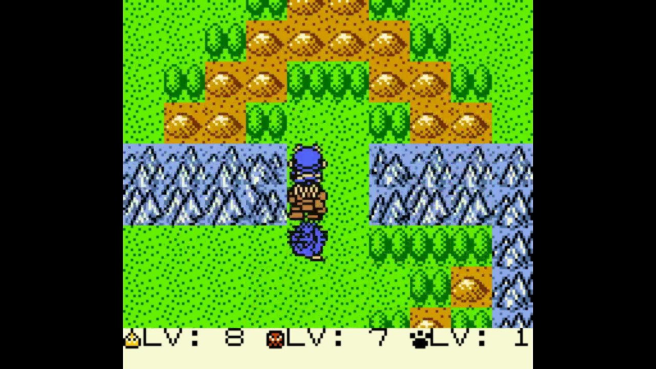 Dragon Warrior Monsters - Party 10