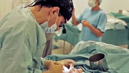 Презентация клиники пластической хирургии MEDICI