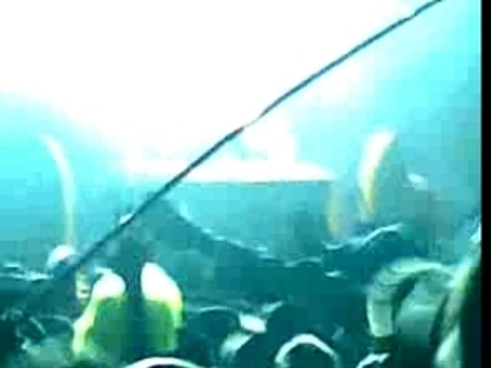 Festival des Vieilles Charrues 2007 - DJ Funk