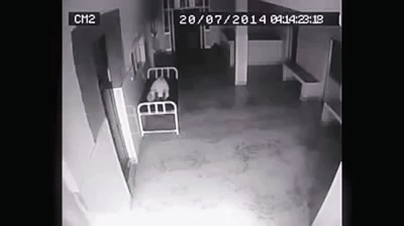 Shocking CCTV footage of Dead Woman from hospital
