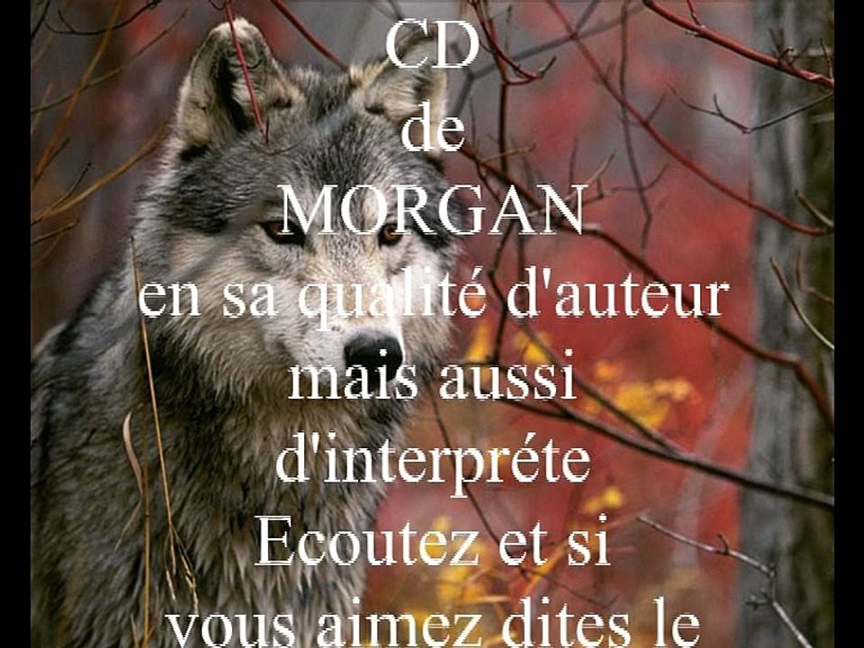 1ier CD de Morgan