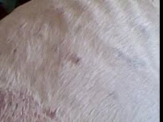 Sa bouge dans mon ventre...