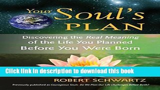Books Your Soul s Plan: Discovering the Real Meaning of the Life You Planned Before You Were Born