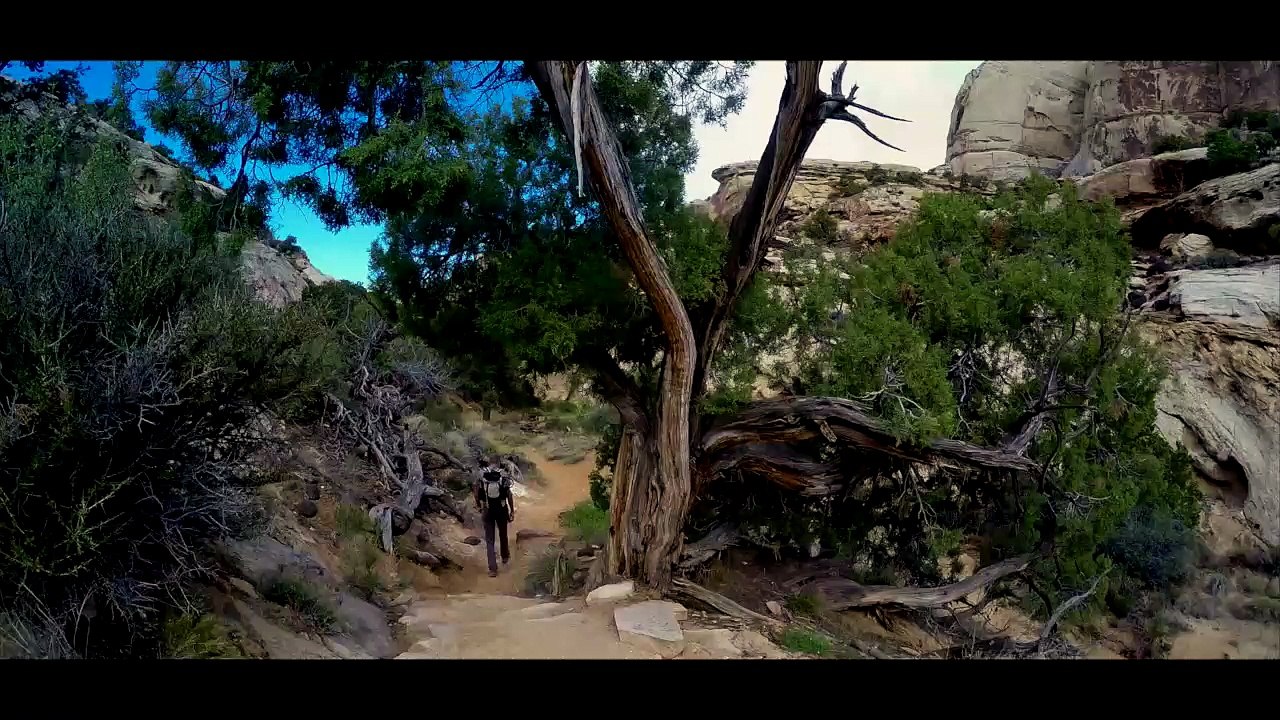 West USA 2016, J12 Torrey - Capitol reef
