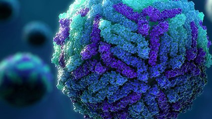 IBM Launches Major Initiative to Combat Zika Virus 🦟