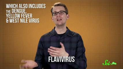 Zika Virus What We Know (And What We Don't)