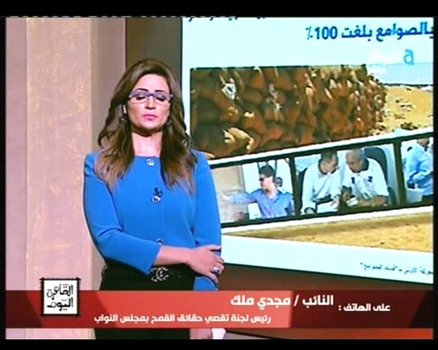 رئيس لجنة تقصى حقائق القمح بمجلس النواب لرانيا بدوي |  يوجد فئة ضالة تعمل على نهب الشعب المصرى.. والدولة المصرية جادة فى