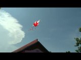 'Bike kite' flies high in the sky
