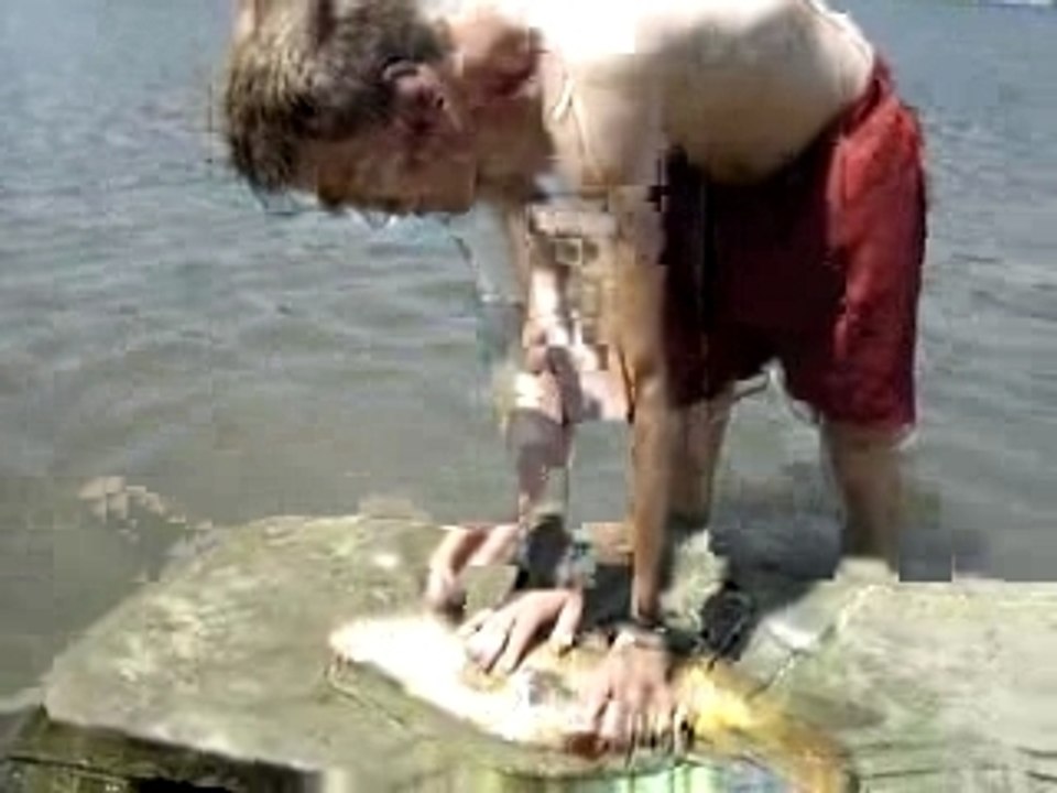 Pêche de la carpe relache étonante