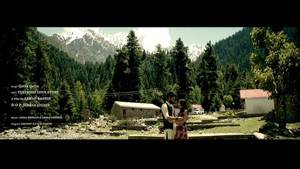 Ushna Shah Upcoming Movie Teri Meri Love Story First Video Song Release