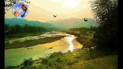 Liên khúc Quê Hương - Organ không lời