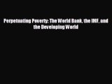 behold Perpetuating Poverty: The World Bank the IMF and the Developing World