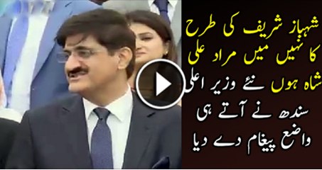 Shabaz Shareef Ki Tarha Nhi Mai Murad Ali Shah Ho