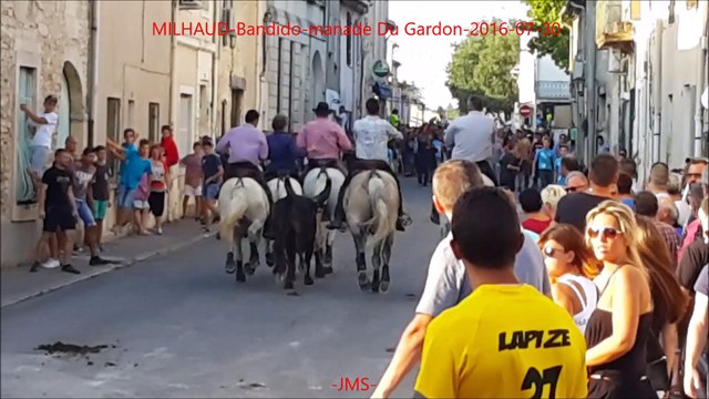 MILHAUD-Bandido-manade-Du-Gardon-2016-07-30