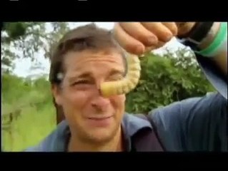 Man vs. Wild - Eating Giant Larva|NoneTV