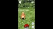 Pokémon Go provoque des accidents, la preuve :