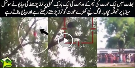 woman offers Namaz after climbing a neem tree