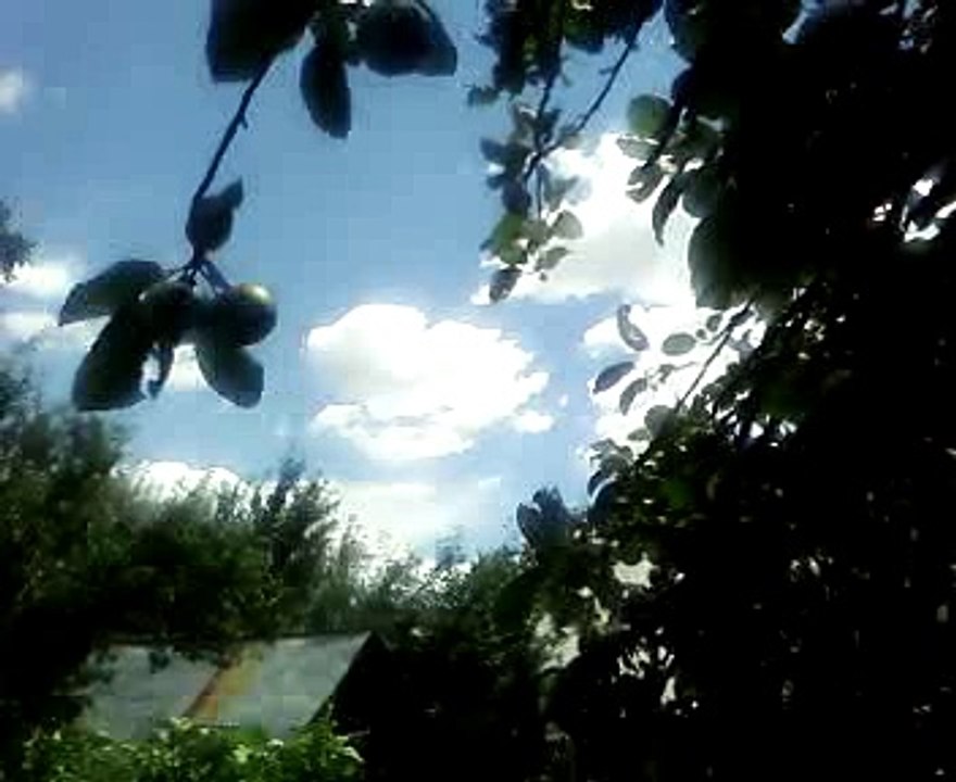 Mălini/vara anului 2016