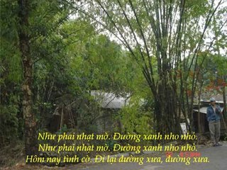 ngày xưa Hoàng thị