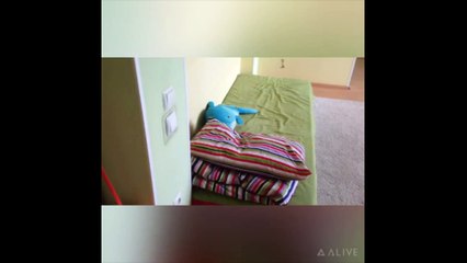 что мне понравилось в июле + вопрос-ответ!