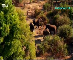 Gentes do Rio, O Zambeze, pt1, RTP3