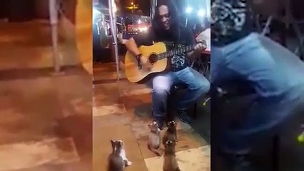 Ce chanteur de rue ignoré par les passants, a eu le public le plus mignon du monde. MA-GNI-FI-QUE !