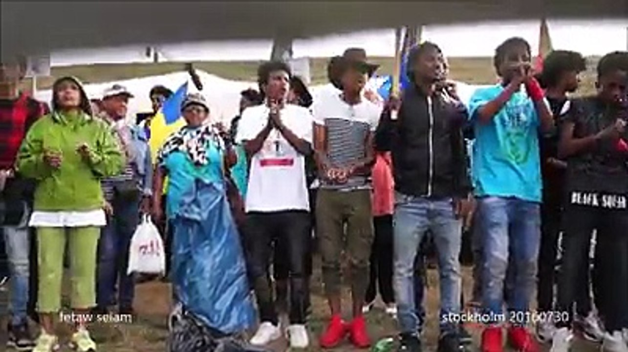 ዕውት ሰላማዊ ሰልፊ ኣብ ሽወደን:-ካልእ ሓርነት ኣሎ፣