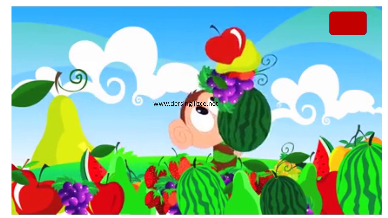 Fruits