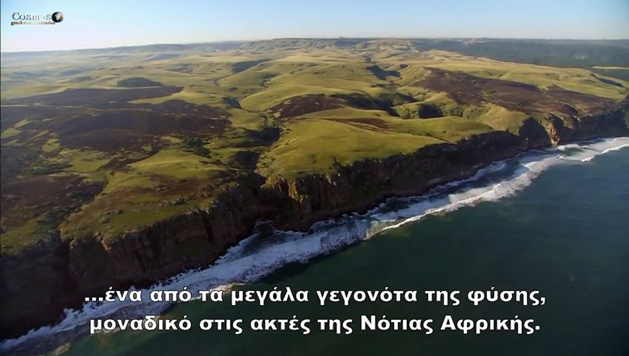 NMAE E04 The Great Tide