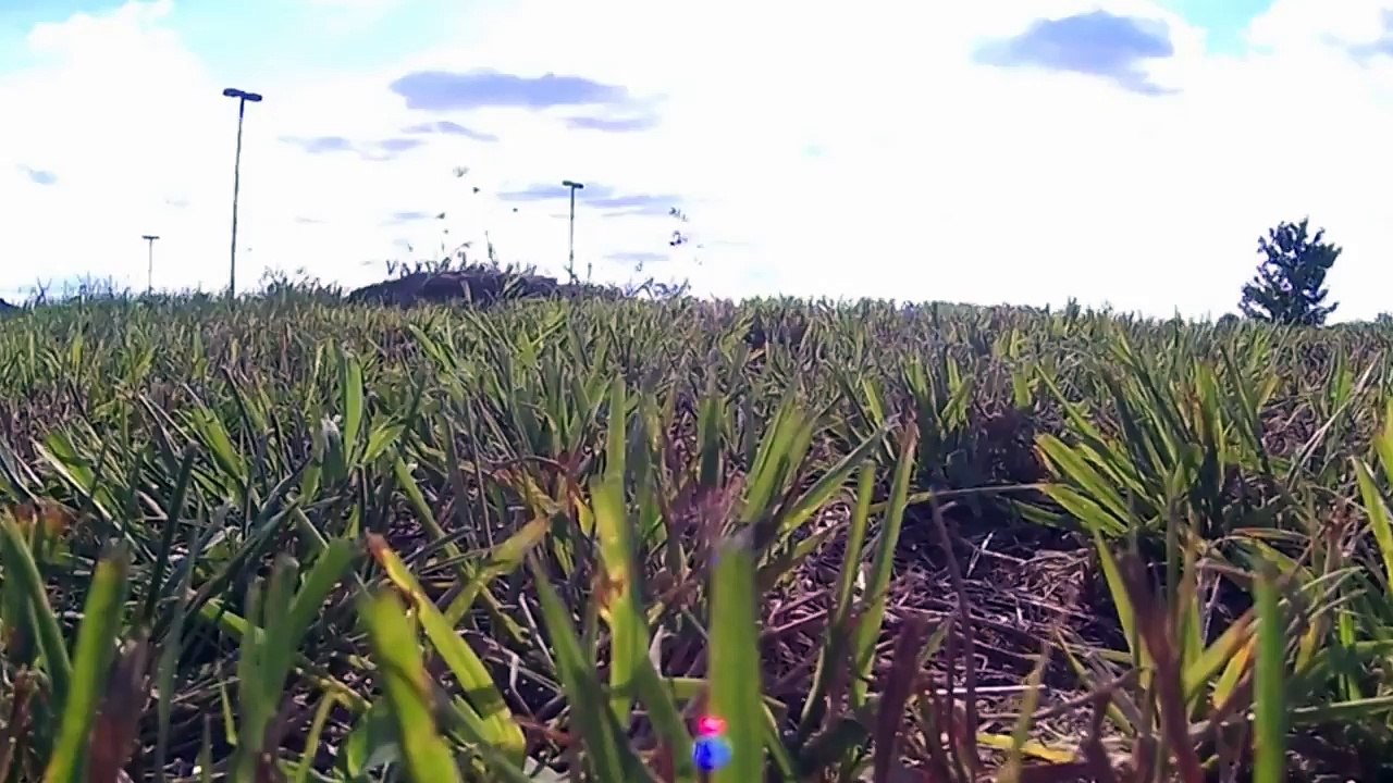 Alien Crop Circle Conspiracy