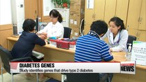 Study identifies genes that drive type 2 diabetes