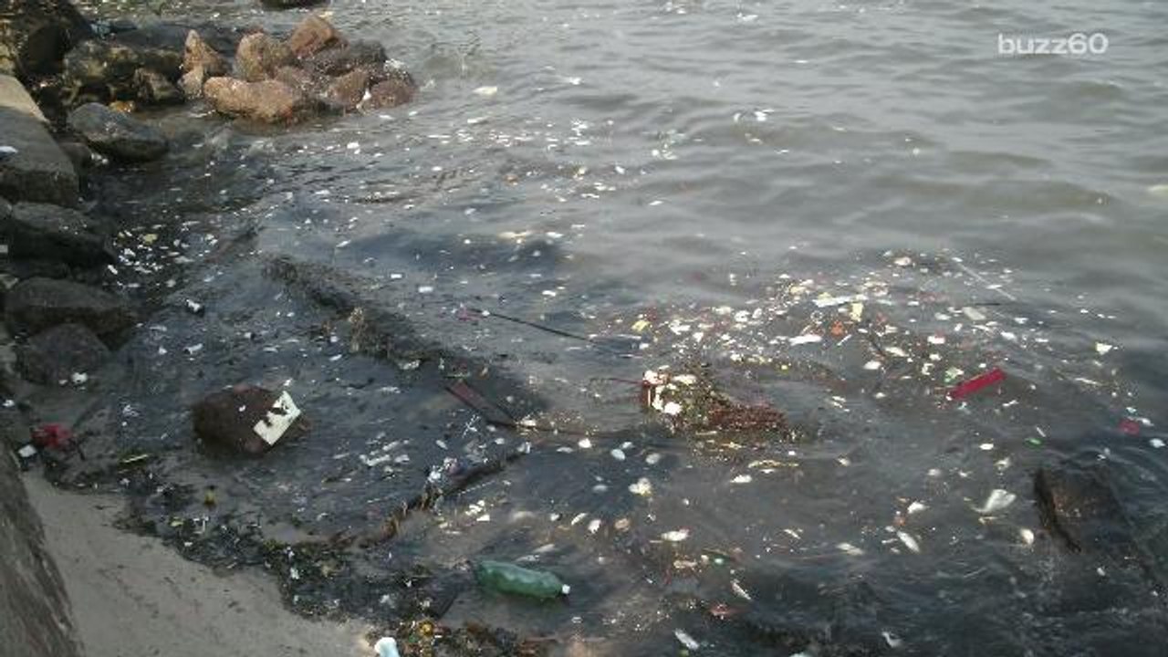 Environmental Issues Spoiling the Rio Olympics