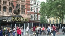 Harry Potter por primera vez en teatro