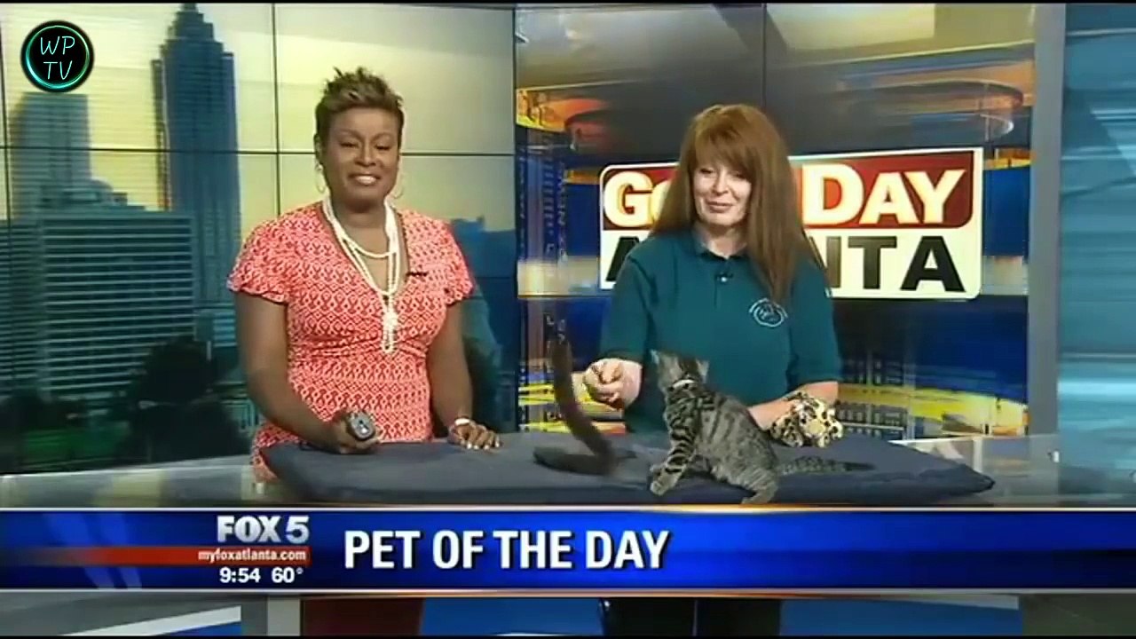 Funny Fails videos - Try not to laugh 2016