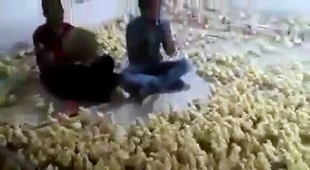 أجمل من هذا الفيديو لن تشاهد في حياتك