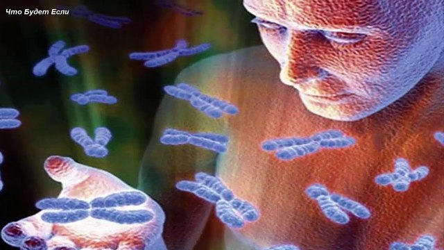 Что будет если брат и сестра заведут детей