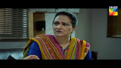 Udaari Episode 17 Full HD Hum TV Drama 31 July 2016