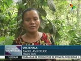 Guatemala aprecia la cobertura informativa de teleSUR