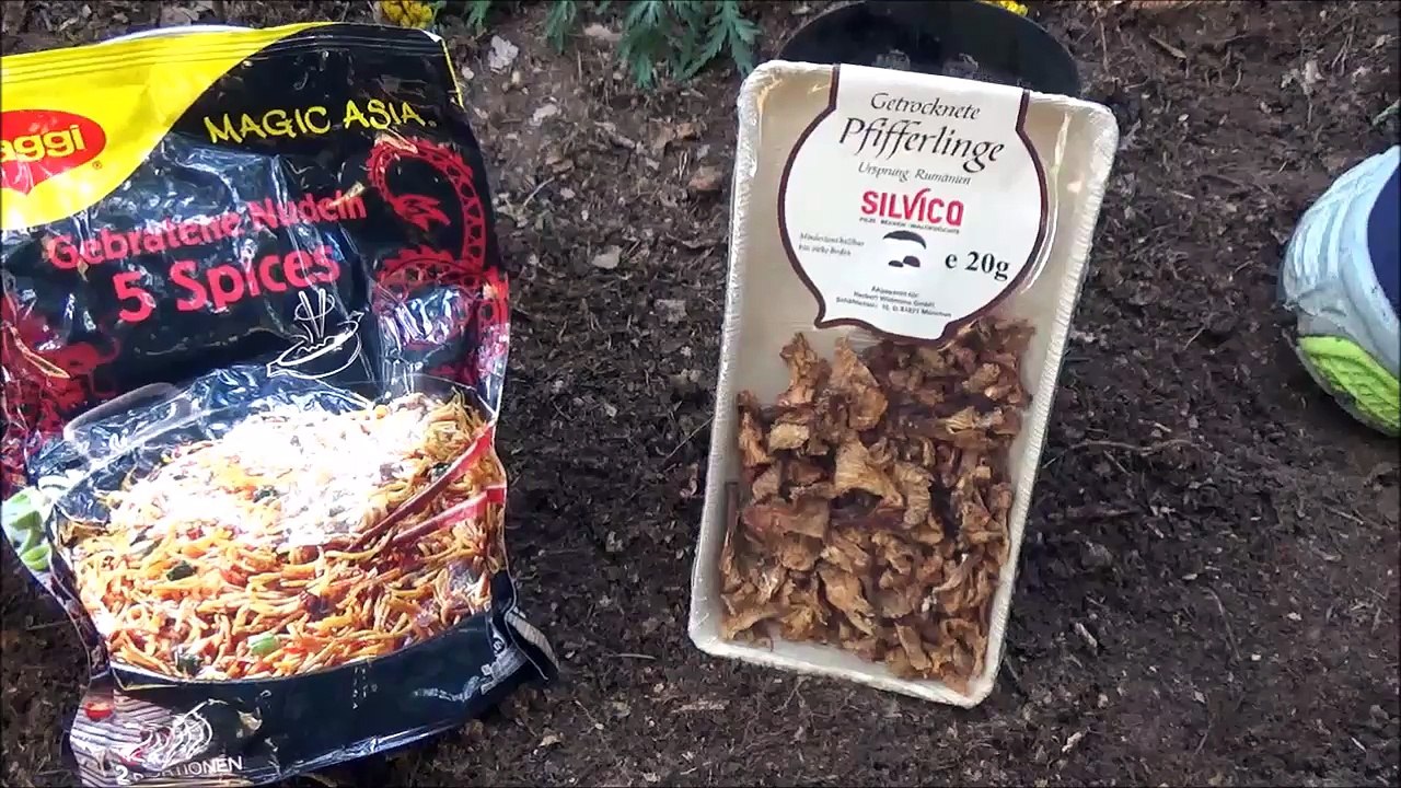 Übernachtung im Wald  -  Nähe Neuendettelsau