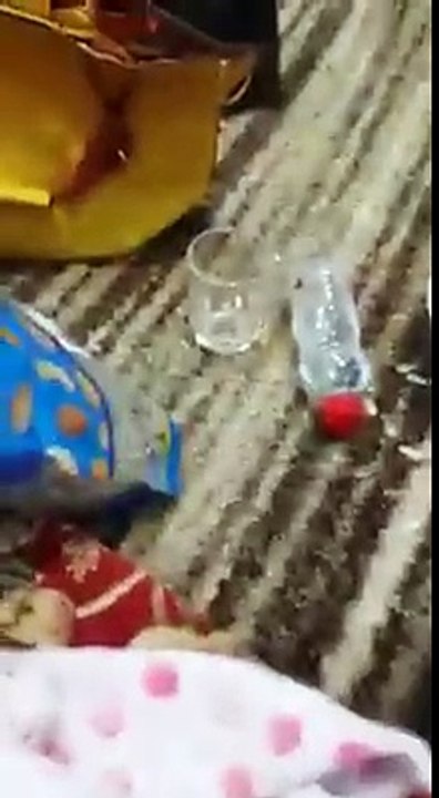 Funny fat belly Dance