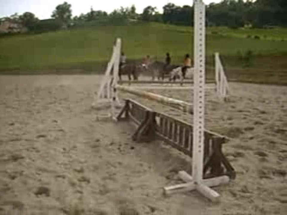 Cour obstacle cheval