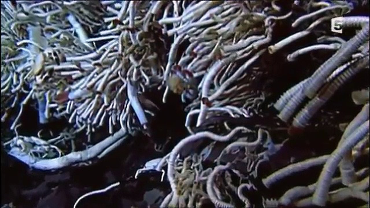 Documentaire, La terre sans les océans