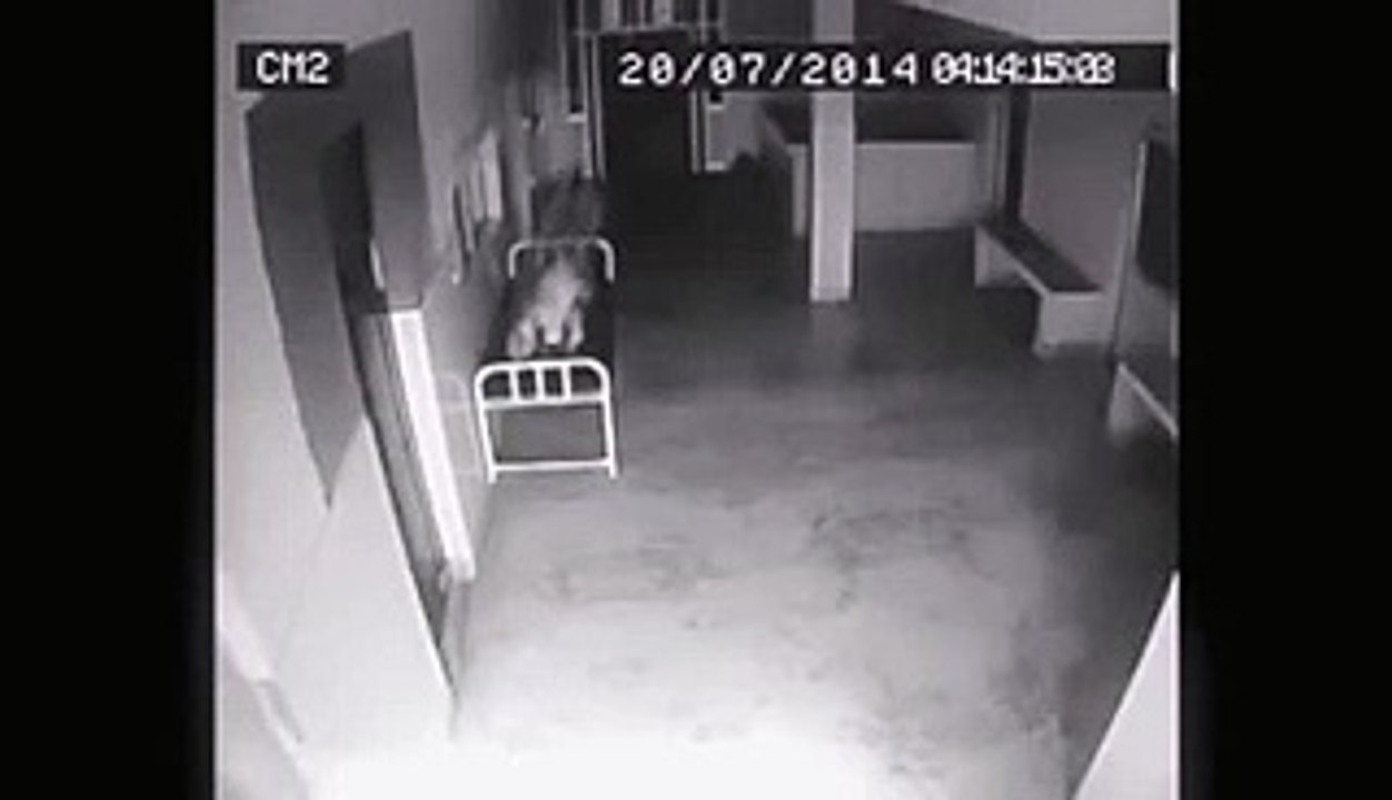 see what camera caught in hospital at night must watch