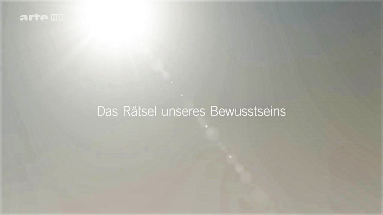 Das Rätsel - 1v2 - Unseres Bewusstseins - 2015 - by ARTBLOOD