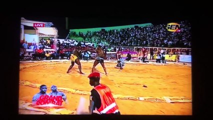 Modou lô bat Gris Bordeaux...Regardez!!