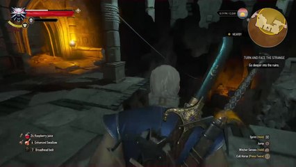 Witcher 3 Blood and Wine  part 4