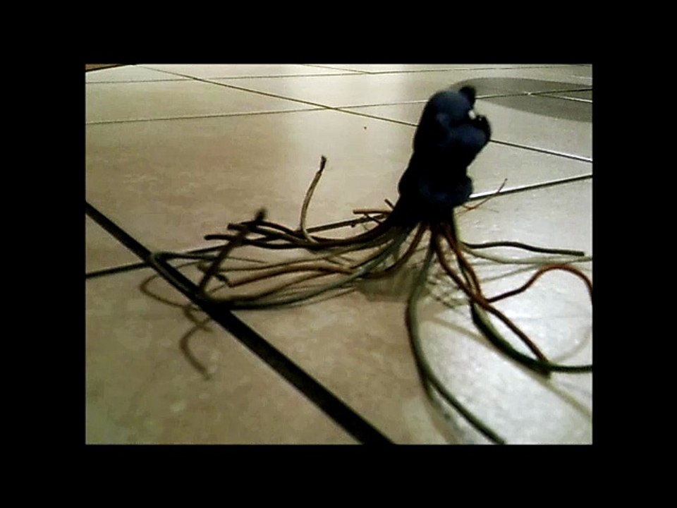 WireBear
