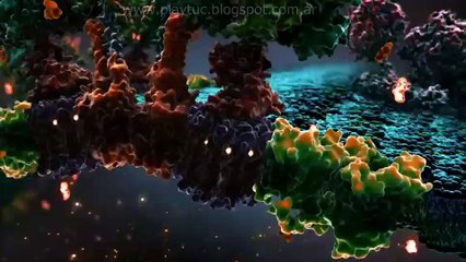 Genios por Stephen Hawking Episodio 2 - ¿Que Soy?