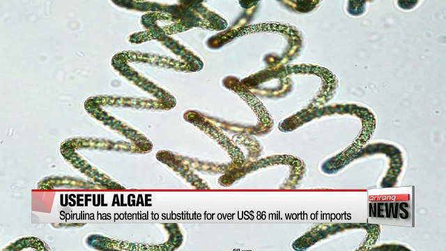 Researchers in Korea develop technology to mass produce spirulina